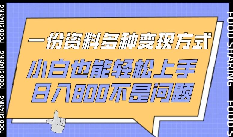一份资料多种变现方式，小白也能轻松上手，日入800不是问题【揭秘】-网创资源