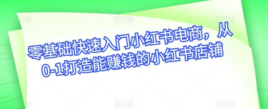 零基础快速入门小红书电商，从0-1打造能赚钱的小红书店铺-网创资源