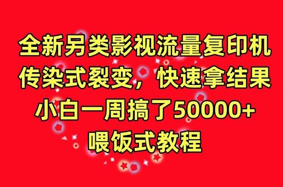 全新另类影视流量复印机，传染式裂变，快速拿结果，小白一周搞了50000+，喂饭式教程【揭秘】-网创资源
