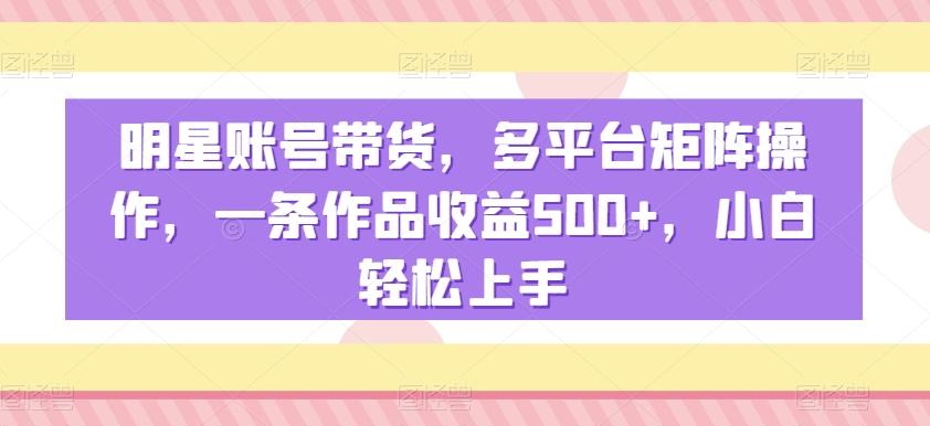 明星账号带货，多平台矩阵操作，一条作品收益500+，小白轻松上手【揭秘】-网创资源