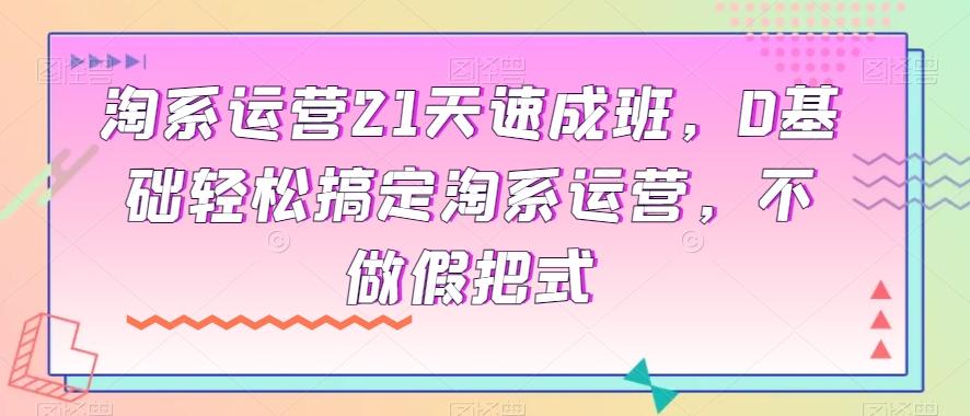 淘系运营21天速成班，0基础轻松搞定淘系运营，不做假把式-网创资源