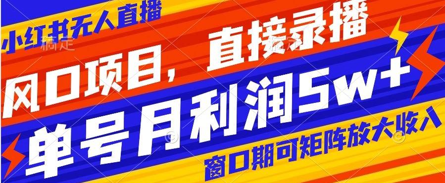 风口项目，小红书无人直播带货，直接录播，可矩阵，月入5w+【揭秘】-网创资源