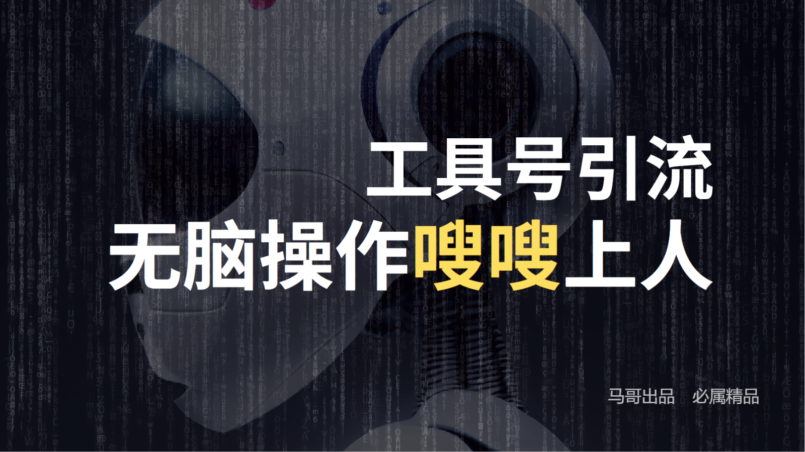 工具号高效引流法，嗖嗖上人，日引1000+，直接搬运，无脑操作-网创资源