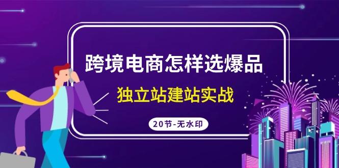 (9369期)跨境电商怎样选爆品，独立站建站实战(20节高清无水印课)-网创资源