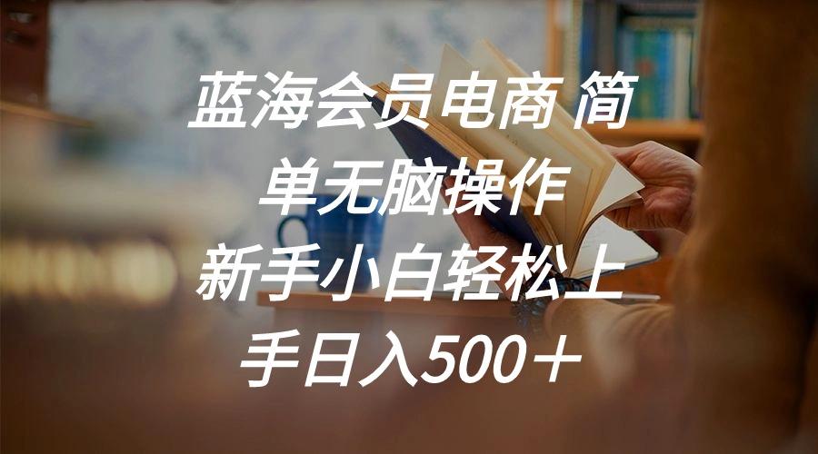 蓝海会员电商 简单无脑操作 新手小白轻松上手日入500＋-网创资源