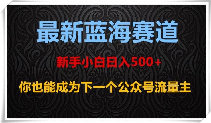 最新蓝海赛道，新手小白日入500+，你也能成为下一个公众号流量主【揭秘】-网创资源