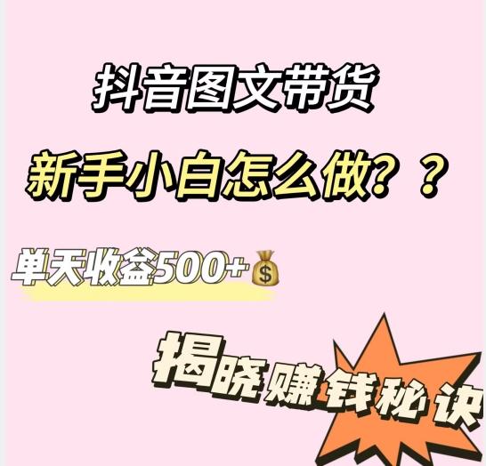 抖音图文带货，新手小白怎么做？单天收益500+【揭秘赚钱秘诀】-网创资源