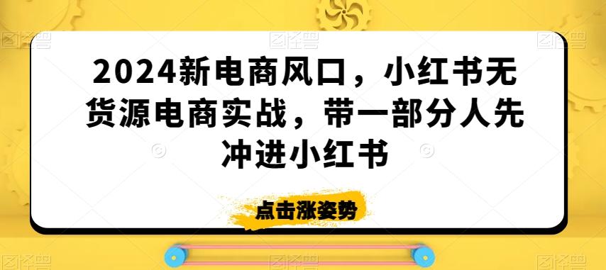 2024新电商风口，小红书无货源电商实战，带一部分人先冲进小红书-网创资源