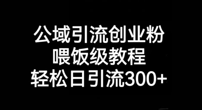 公域引流创业粉，喂饭级教程，轻松日引流300+【揭秘】-网创资源