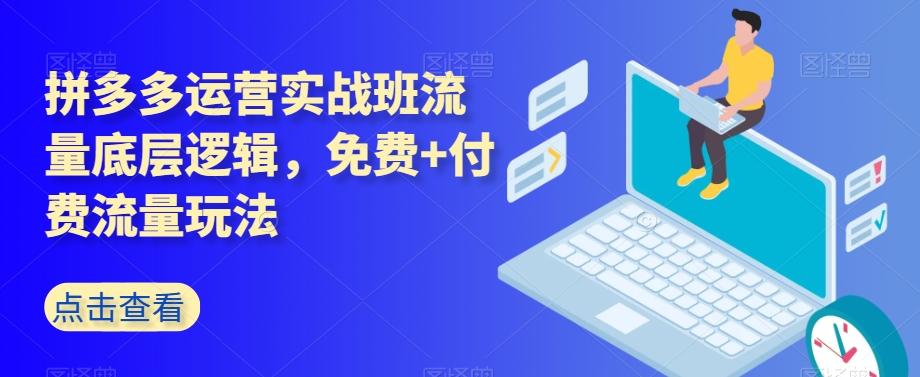 拼多多运营实战班流量底层逻辑，免费+付费流量玩法-网创资源