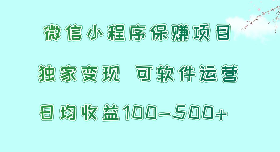 微信小程序保赚项目，日均收益100~500+，独家变现，可软件运营-网创资源