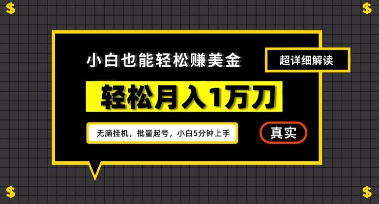 谷歌看广告撸美金2.0，无脑挂机，多号操作，月入1万刀【揭秘】-网创资源