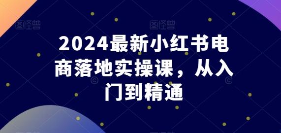 2024最新小红书电商落地实操课，从入门到精通-网创资源