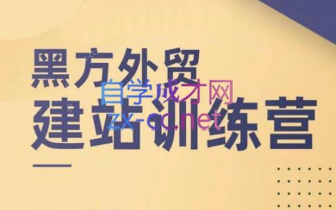 黑方老师·谷歌B端独立站建站推广-网创资源