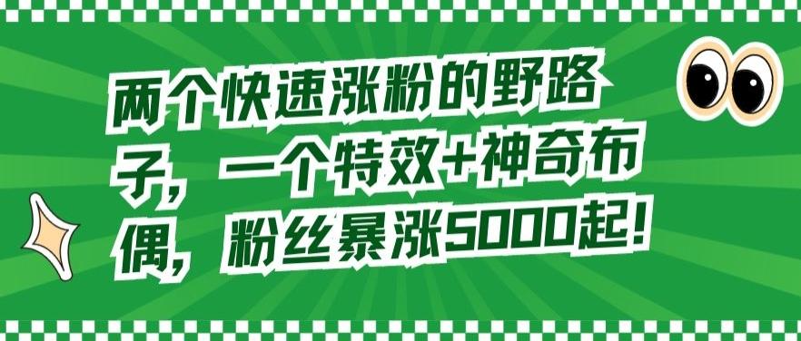 两个快速涨粉的野路子，一个特效+神奇布偶，粉丝暴涨5000起【揭秘】-网创资源