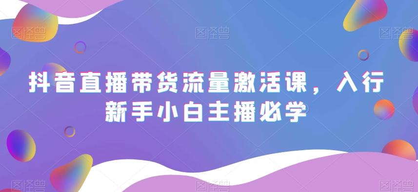 抖音直播带货流量激活课，入行新手小白主播必学-网创资源