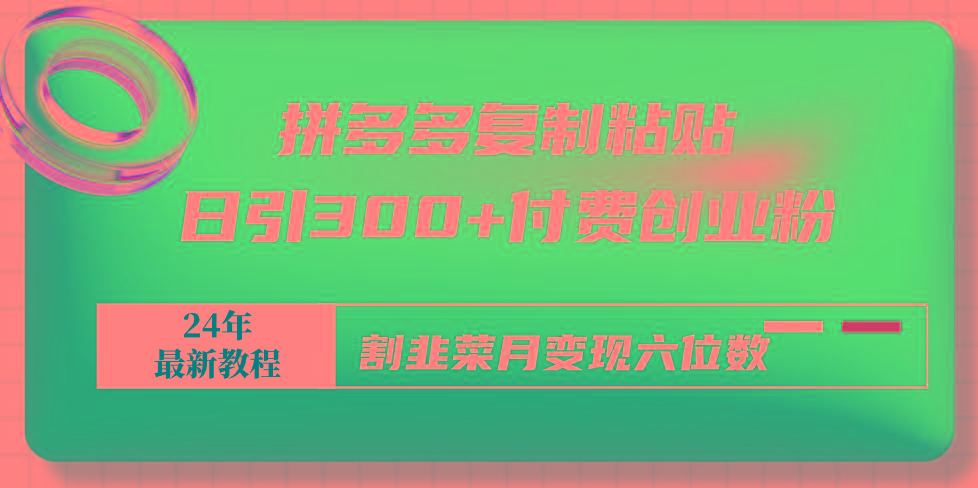 拼多多复制粘贴日引300+付费创业粉，割韭菜月变现六位数最新教程！-网创资源