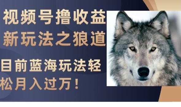视频号撸收益新玩法之狼道，目前蓝海玩法，轻松月入过万【揭秘】-网创资源