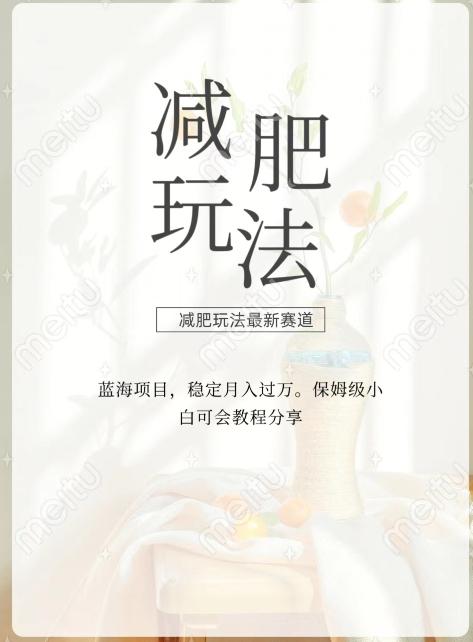 减肥流量主新玩法，轻松月入1W，可矩阵操作收入翻倍-网创资源