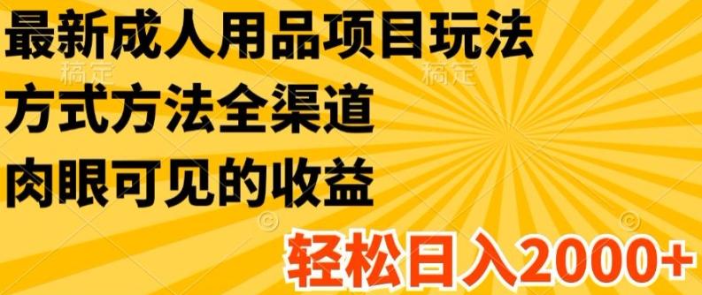 最新成人用品项目玩法，方式方法全渠道，轻松日入2K+【揭秘】-网创资源