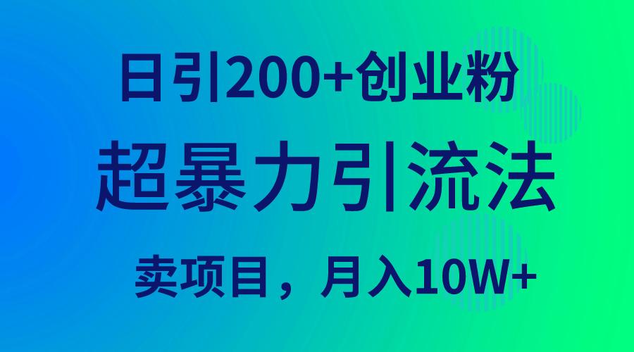 (9654期)超暴力引流法，日引200+创业粉，卖项目月入10W+-网创资源