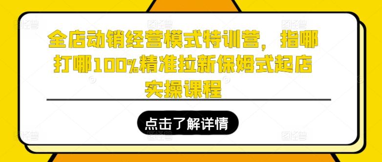 全店动销经营模式特训营，指哪打哪100%精准拉新保姆式起店实操课程-网创资源