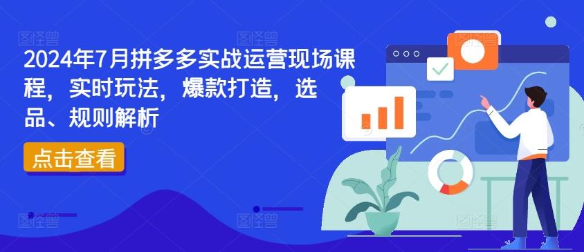 2024年7月拼多多实战运营现场课程，实时玩法，爆款打造，选品、规则解析-网创资源