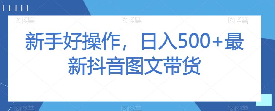 新手好操作，日入500+最新抖音图文带货【揭秘】-网创资源
