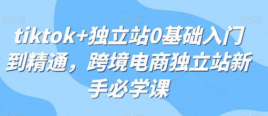 tiktok+独立站0基础入门到精通，跨境电商独立站新手必学课-网创资源