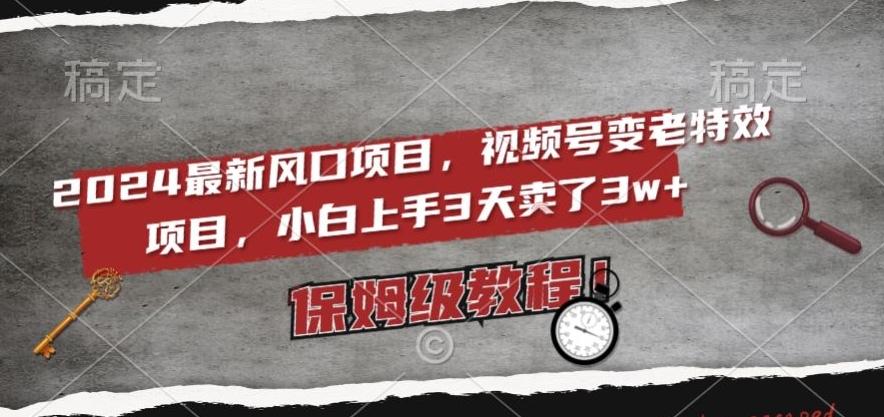 2024最新风口项目，视频号变老特效项目，电脑小白上手3天卖了3w+，保姆级教程【揭秘】-网创资源