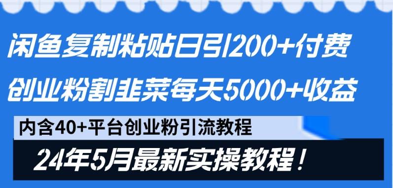 闲鱼复制粘贴日引200+付费创业粉，24年5月最新方法！割韭菜日稳定5000+收益-网创资源