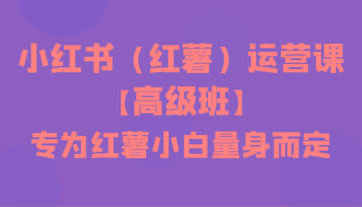 小红书(红薯)运营课【高级班】，专为红薯小白量身而定(42节课)-网创资源