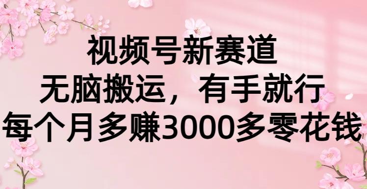 (9278期)视频号新赛道，无脑搬运，有手就行，每个月多赚3000多零花钱-网创资源