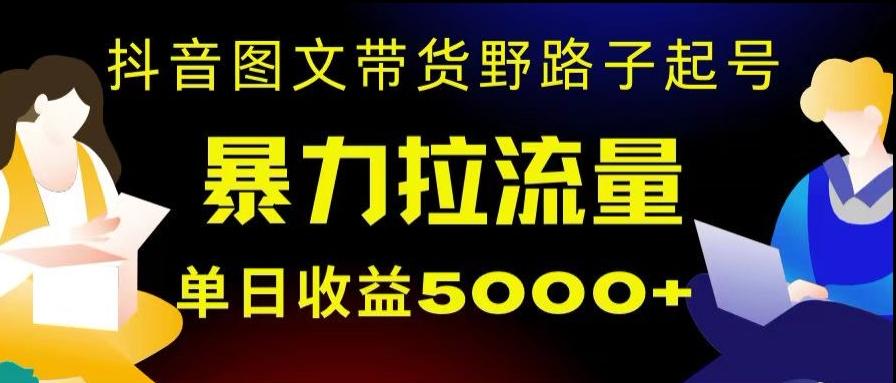 抖音图文带货暴力起号，单日收益5000+，野路子玩法，简单易上手，一部手机即可【揭秘】-网创资源