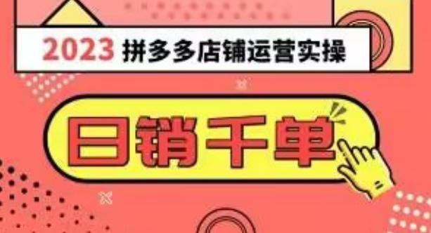 2023拼多多运营实操，每天30分钟日销1000＋，爆款选品技巧大全（10节课）-网创资源