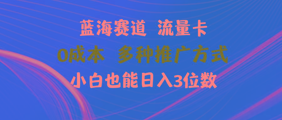 蓝海赛道 流量卡 0成本 小白也能日入三位数-网创资源