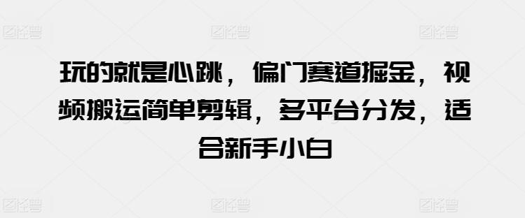 玩的就是心跳，偏门赛道掘金，视频搬运简单剪辑，多平台分发，适合新手小白【揭秘】-网创资源