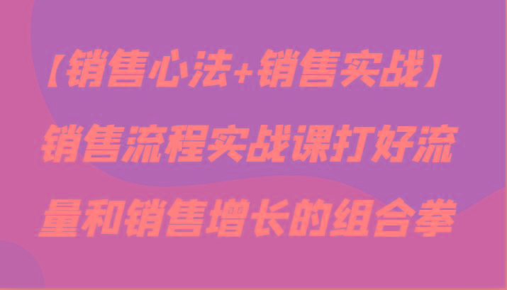 【销售心法+销售实战】销售流程实战课打好流量和销售增长的组合拳-网创资源