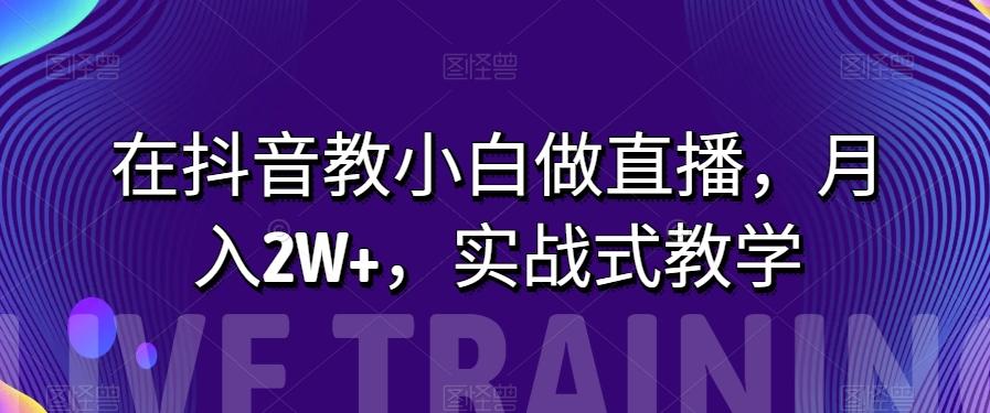 在抖音教小白做直播，月入2W+，实战式教学【揭秘】-网创资源