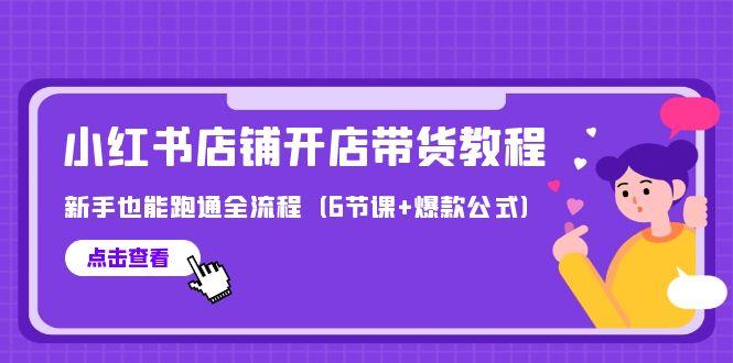(9883期)最新小红书店铺开店带货教程，新手也能跑通全流程(6节课+爆款公式)-网创资源