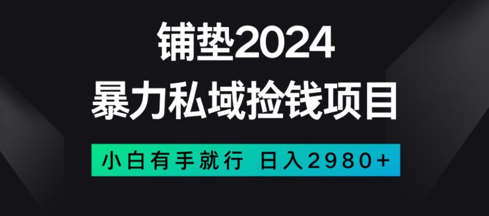 暴力私域捡钱项目，小白无脑操作，日入2980【揭秘】-网创资源