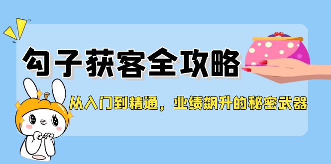 从入门到精通，勾子获客全攻略，业绩飙升的秘密武器-网创资源
