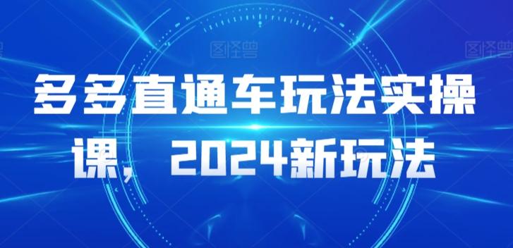 多多直通车玩法实操课，2024新玩法-网创资源