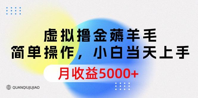 (9864期)虚拟撸金薅羊毛，简单操作，小白当天上手，月收益5000+-网创资源