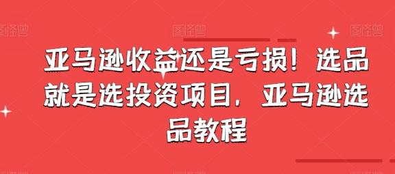 亚马逊收益还是亏损！选品就是选投资项目，亚马逊选品教程-网创资源