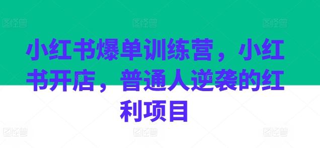 小红书爆单训练营，小红书开店，普通人逆袭的红利项目-网创资源