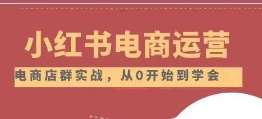 小红书店铺运营从小白到大神2.0，从入门到精通-网创资源
