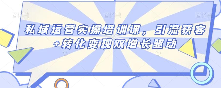 私域运营实操培训课，引流获客+转化变现双增长驱动-网创资源