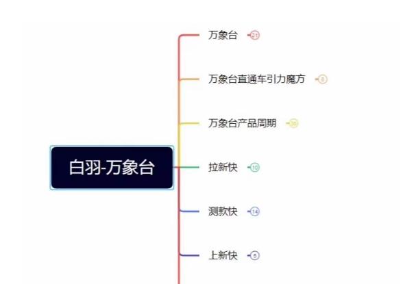 白羽·直引万搜索全篇，从0-1，多个类目实操经验总结付费-网创资源