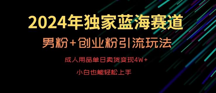 2024年独家蓝海赛道，成人用品单日卖货变现4W+，男粉+创业粉引流玩法，不愁搞不到流量【揭秘】-网创资源